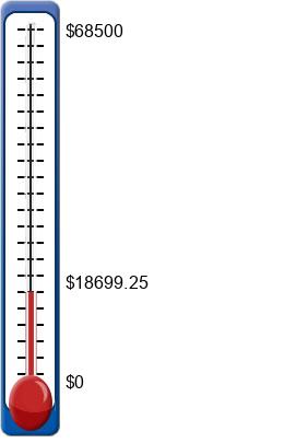 fundraising ideas for schools, churches, and youth sports teams