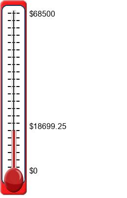 fundraising ideas for schools, churches, and youth sports teams