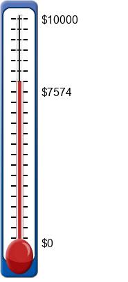 fundraising ideas for schools, churches, and youth sports teams